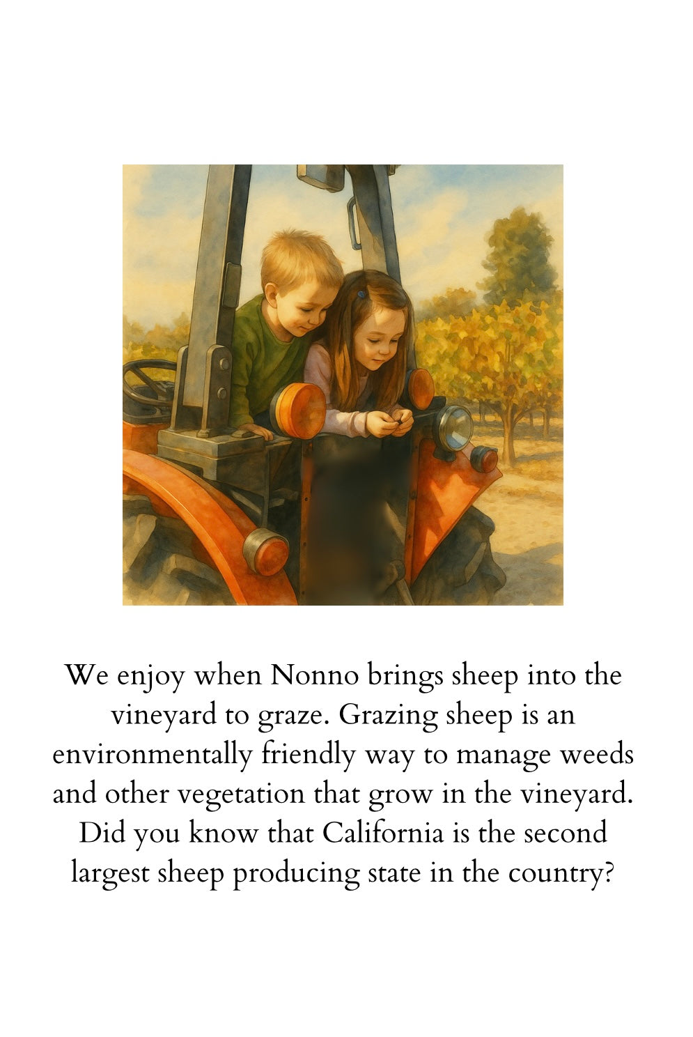 Harvest with Nonno