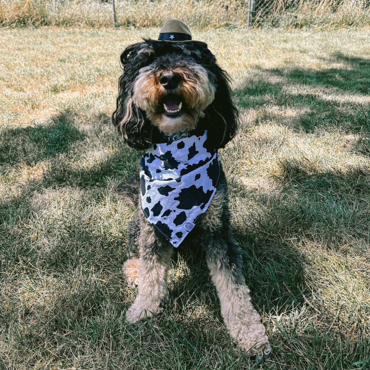 Cow Print Dog Bandana: Large