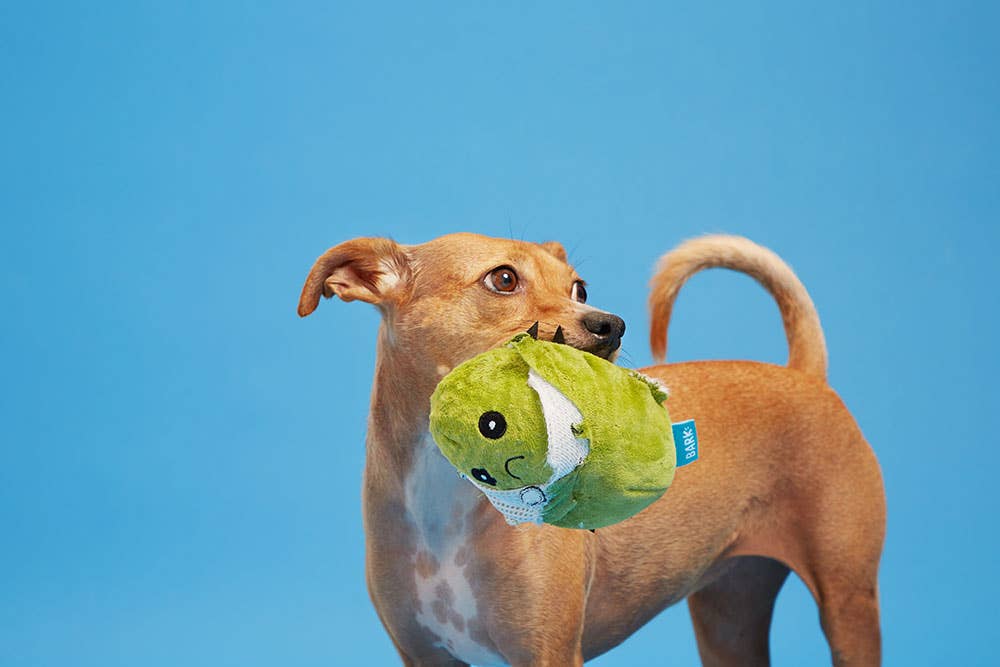Cactus Dog Toy: Pink Flower