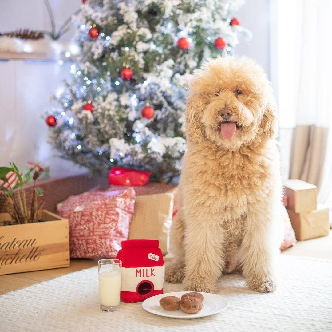 Santa's Milk and Cookies Dog Toy: Red