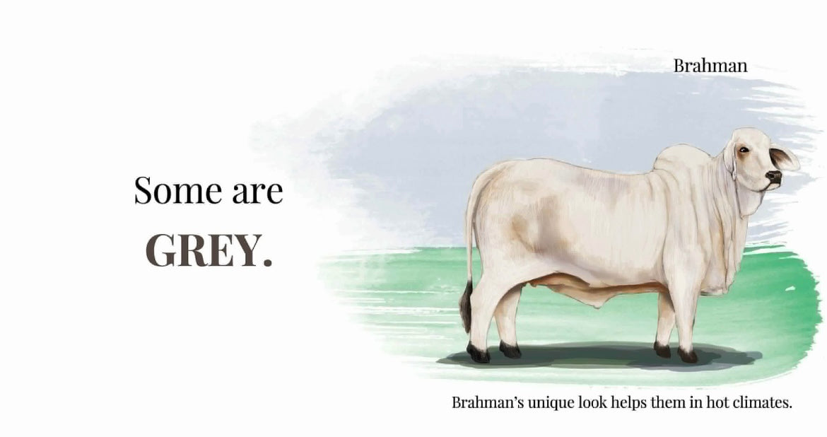 Baby’s First Book of Cows & Colors