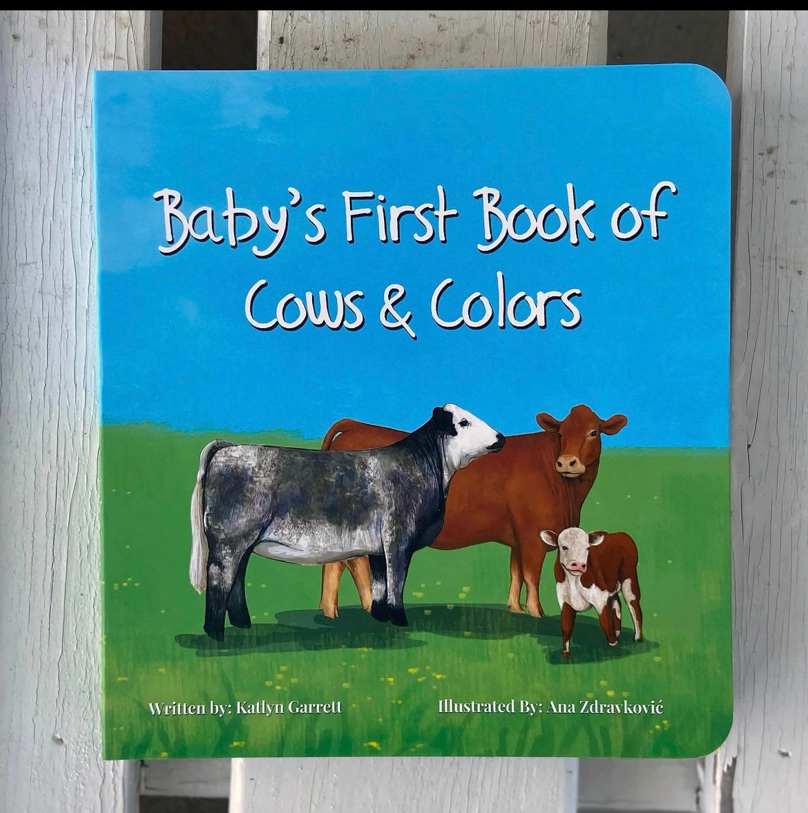 Baby’s First Book of Cows & Colors