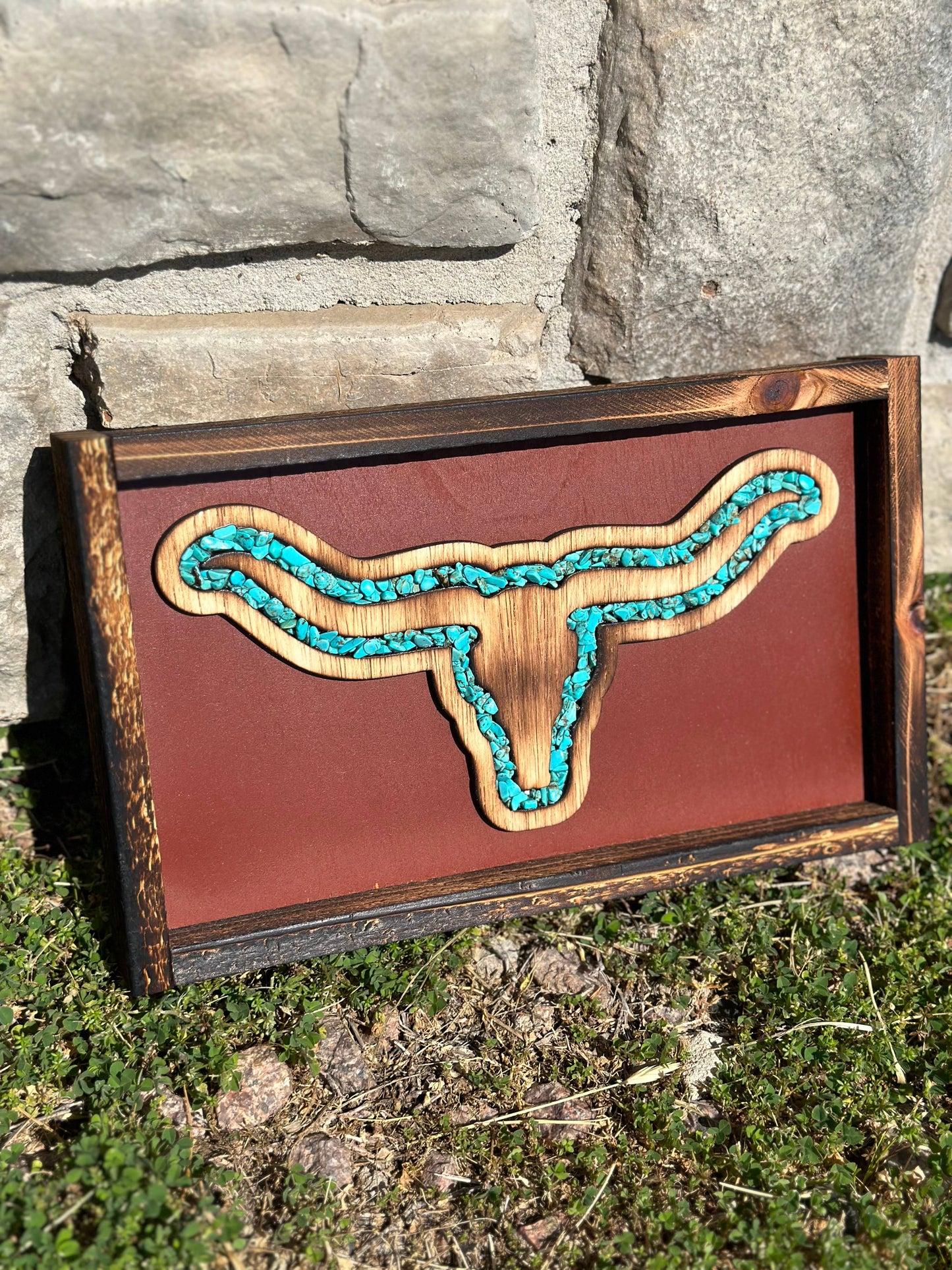 Longhorn Decor