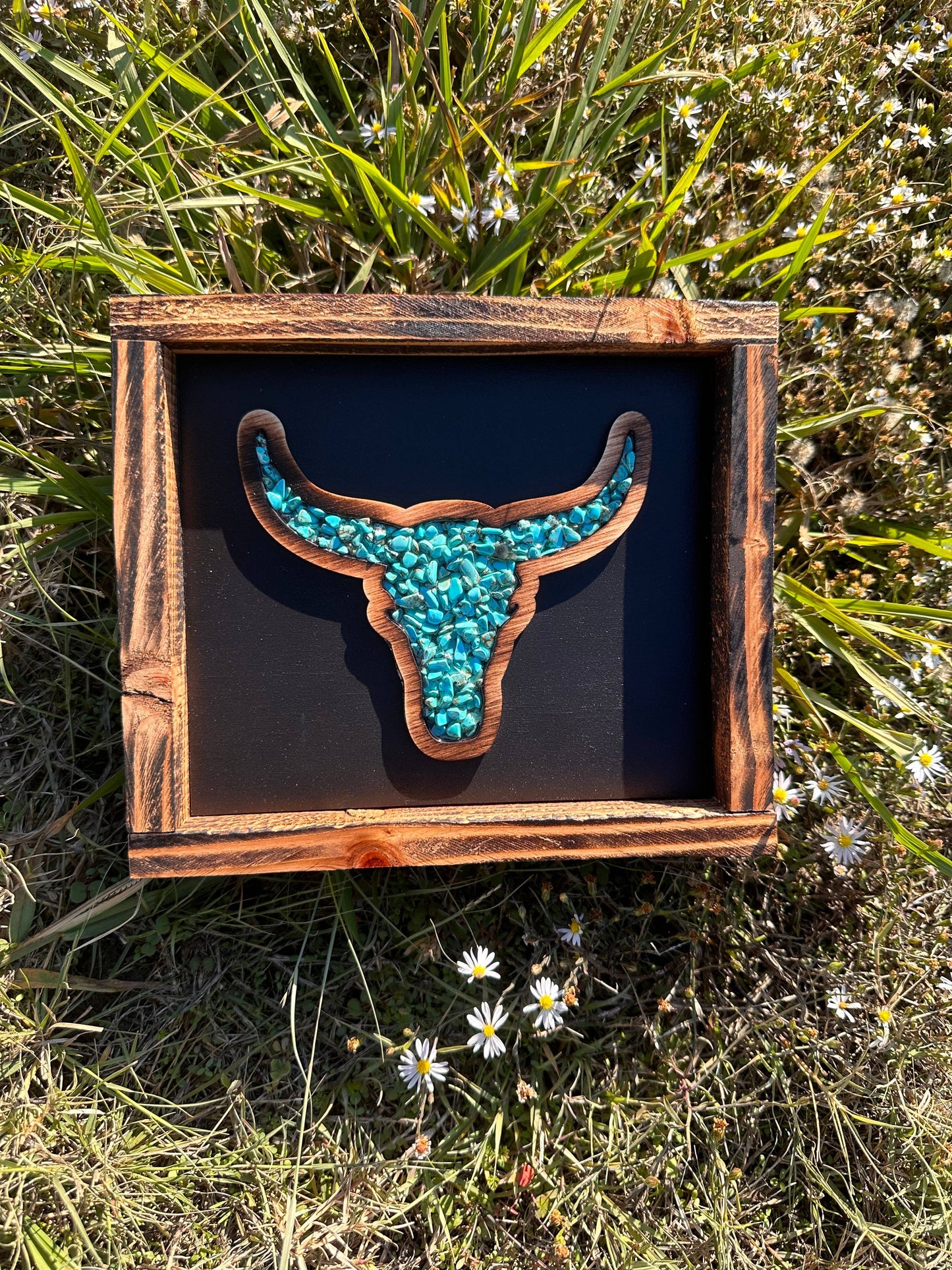 Bull Skull Decor: Turquoise on Black
