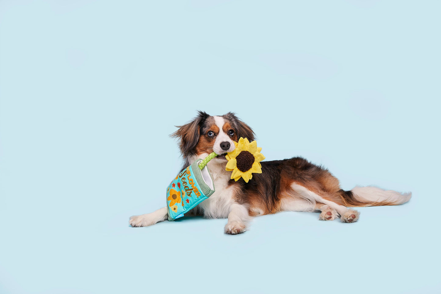 Funflower Seeds Rope Dog Toy
