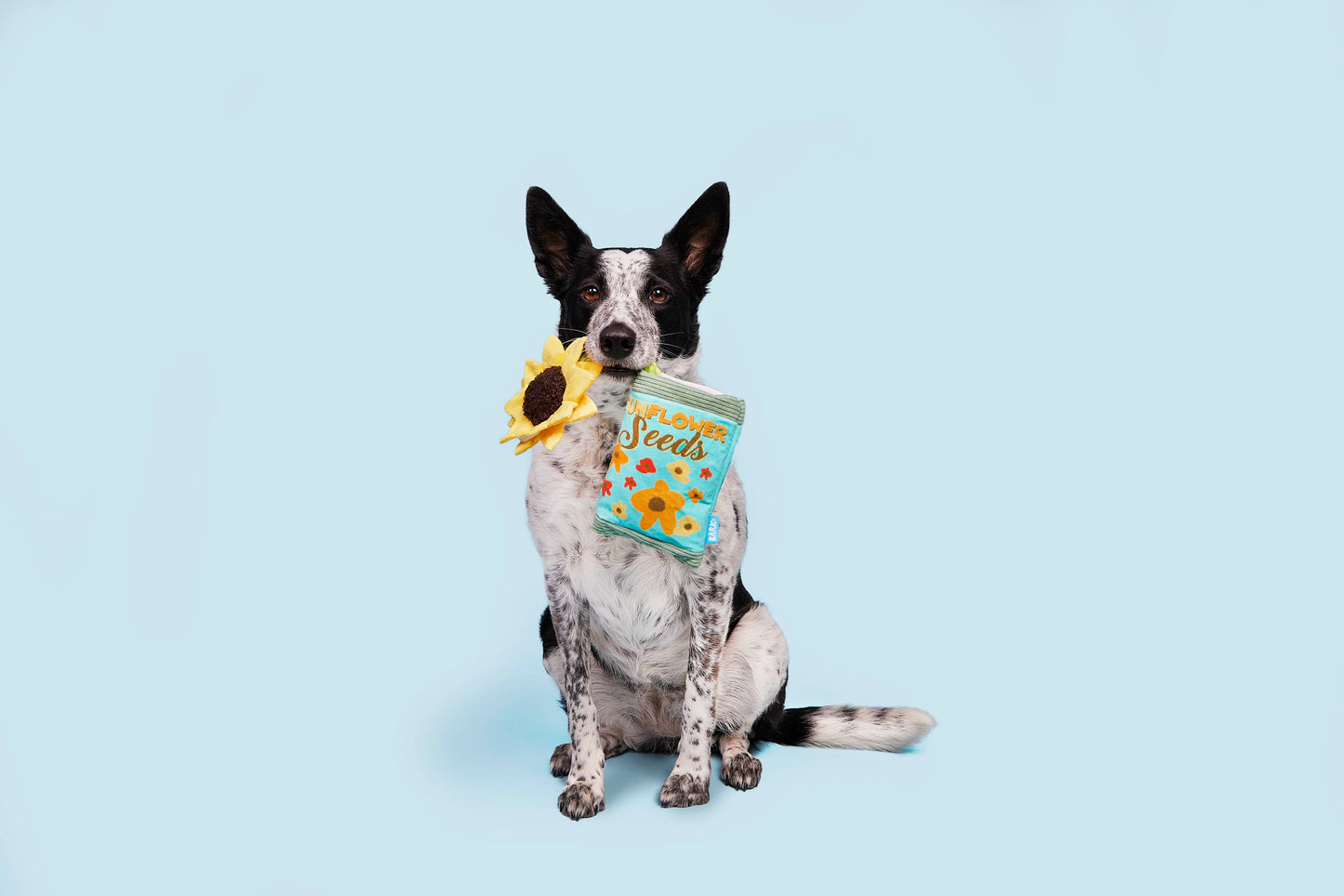 Funflower Seeds Rope Dog Toy