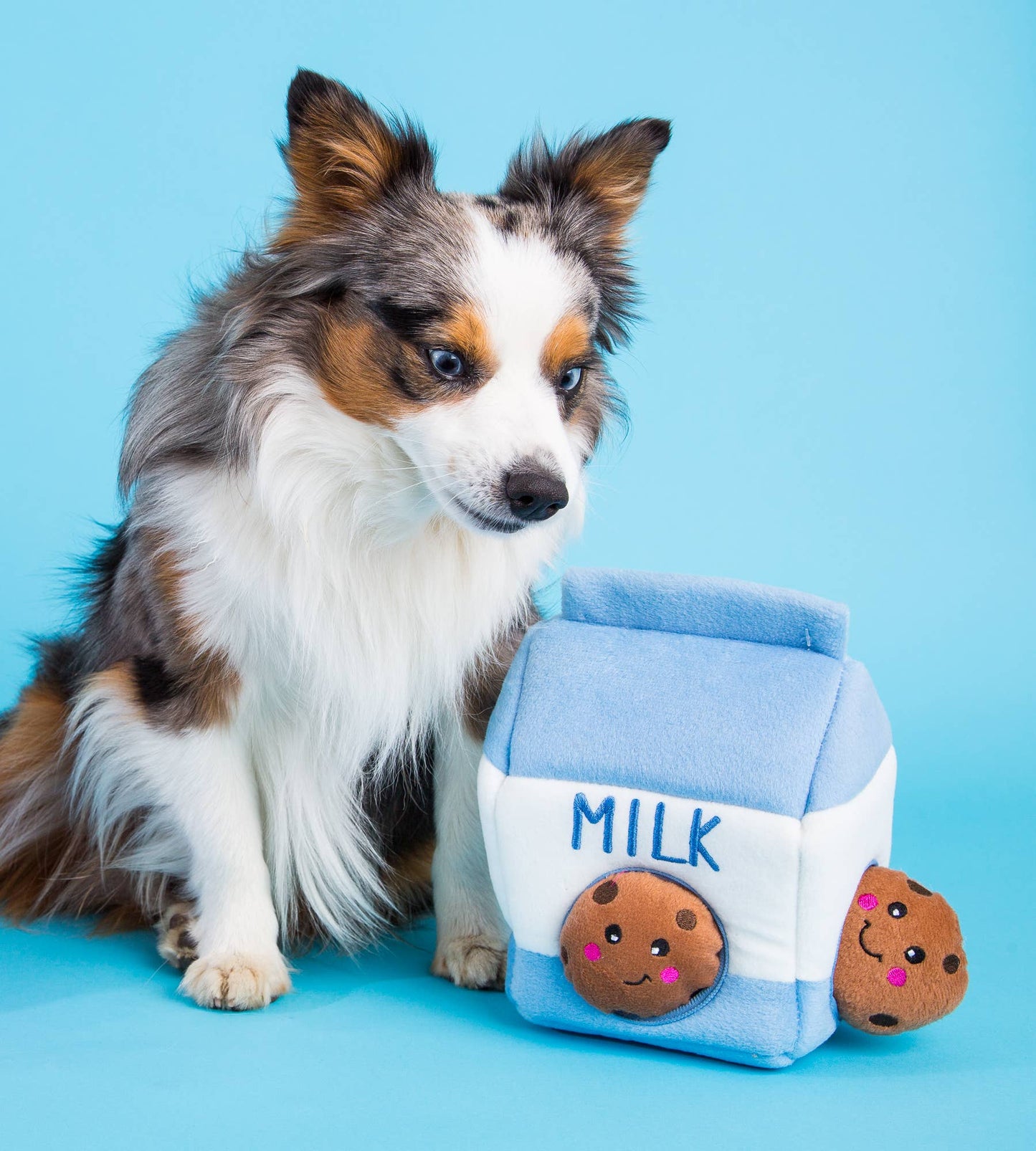 Milk and Cookies Dog Toy: Blue