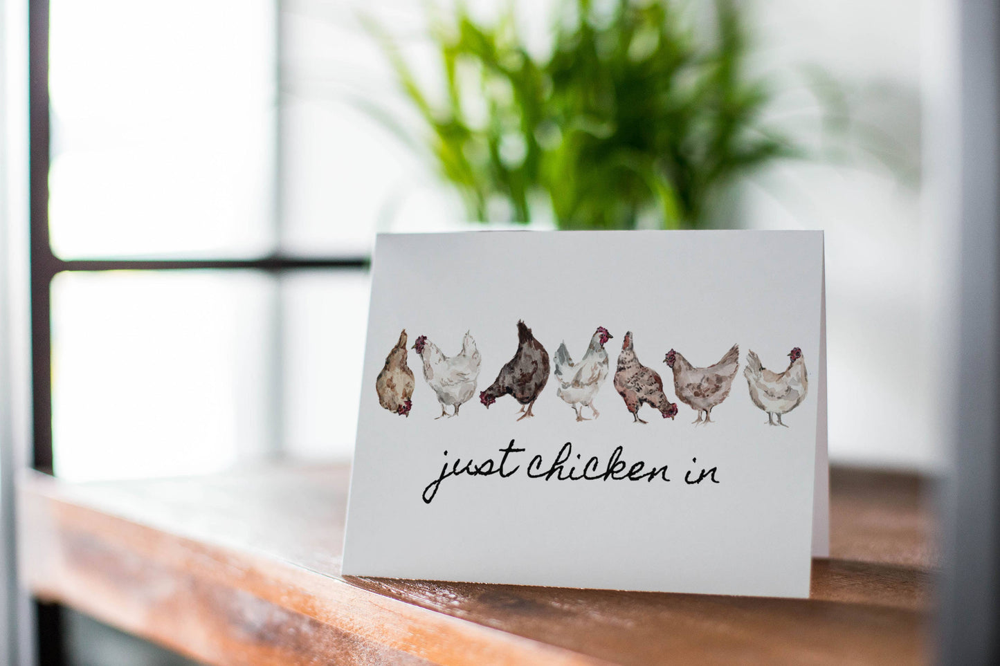 Just Chicken In Greeting Card: 1 Card