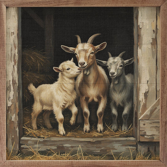 Trio Of Goats In The Barn: 12x12