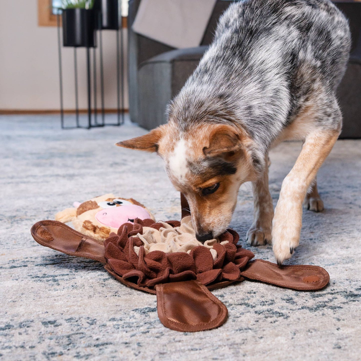 Brown Cow Dog Toy: Large