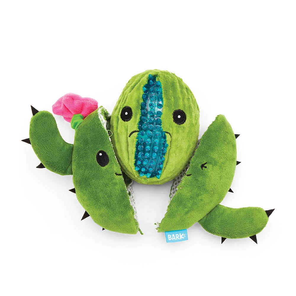 Cactus Dog Toy: Pink Flower