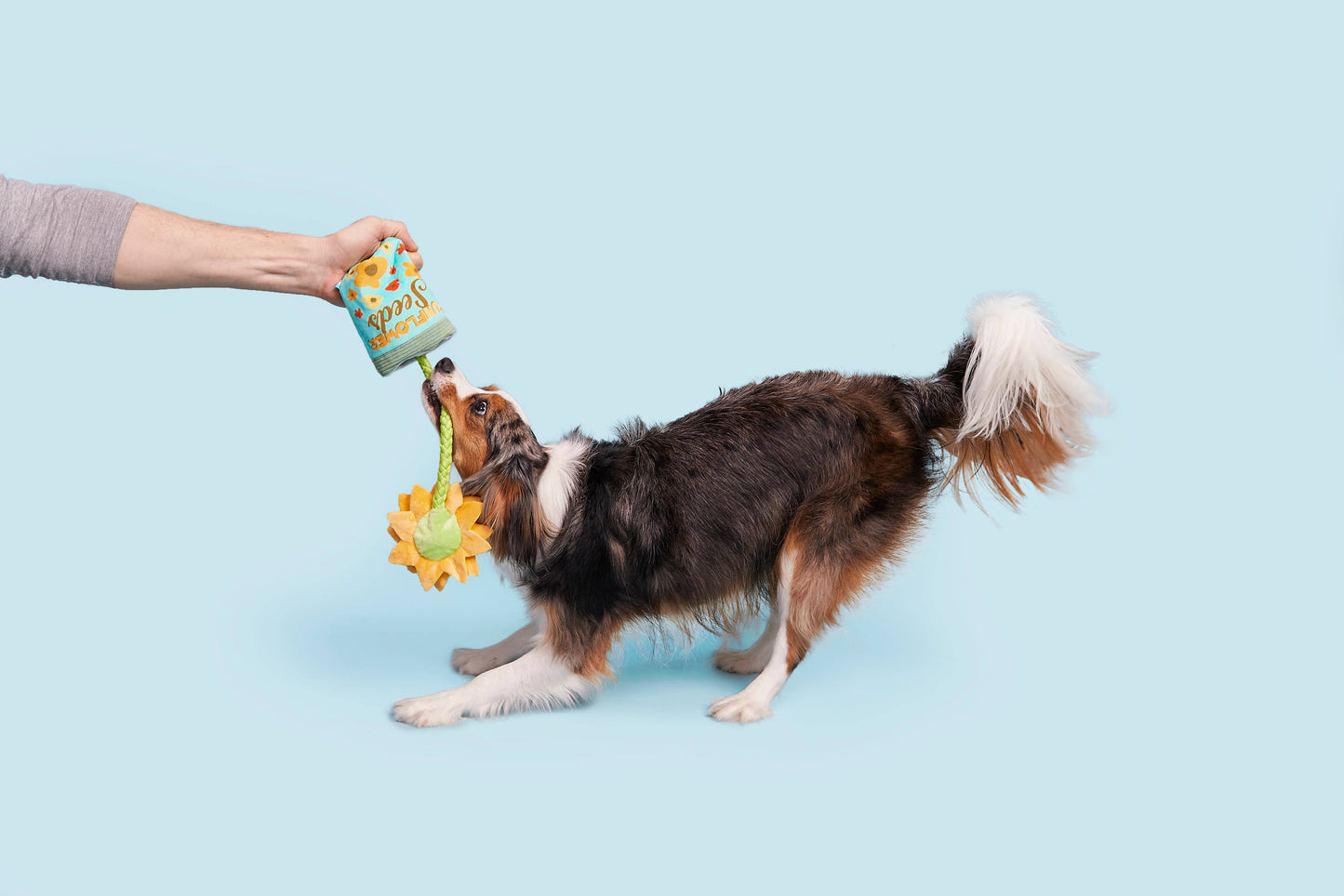 Funflower Seeds Rope Dog Toy