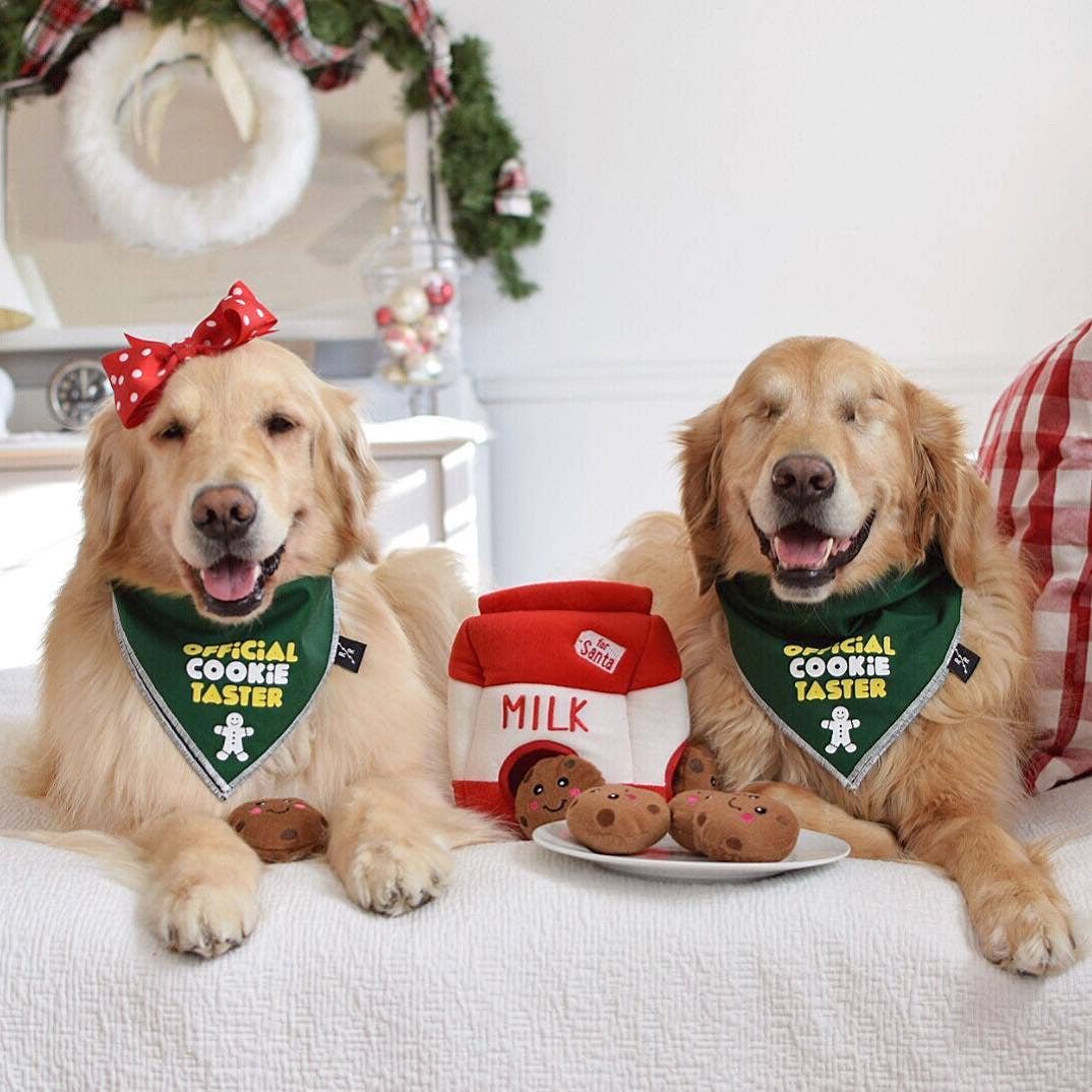 Santa's Milk and Cookies Dog Toy: Red