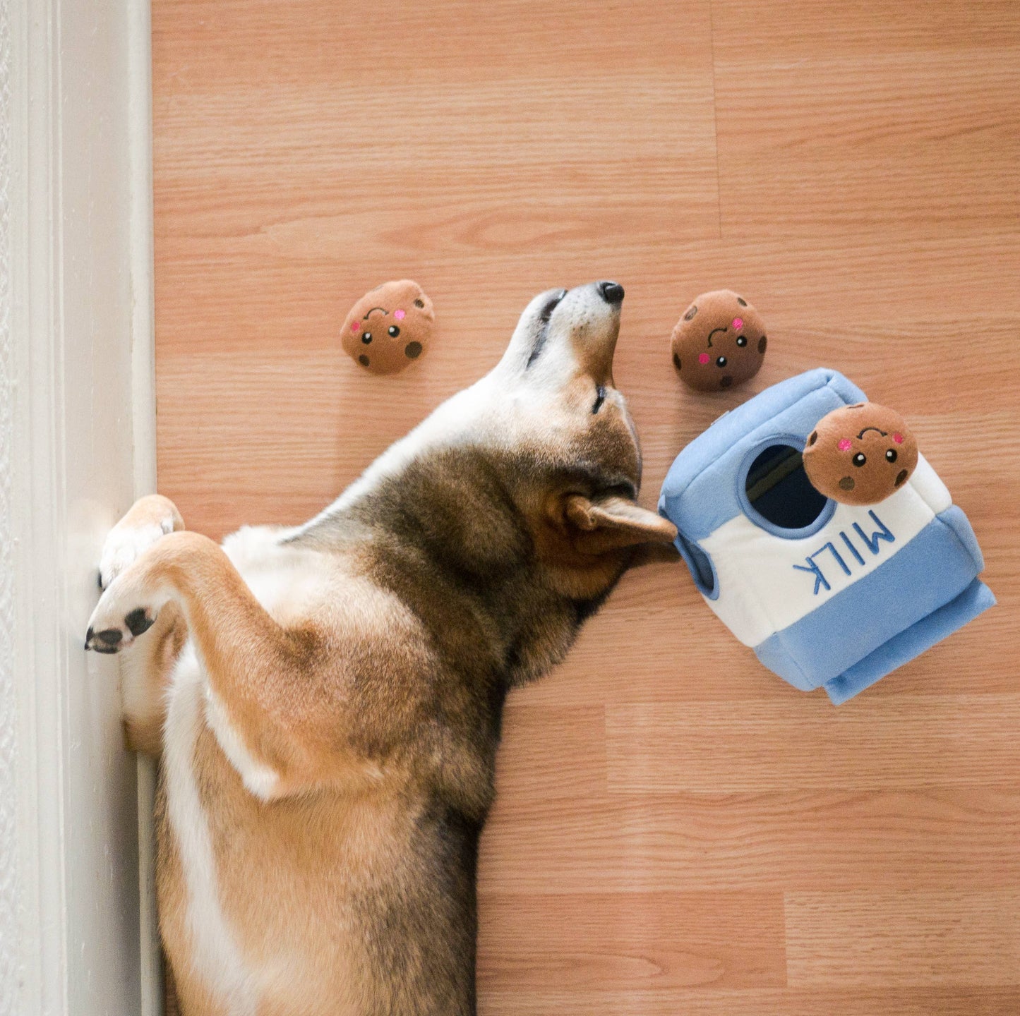 Milk and Cookies Dog Toy: Blue