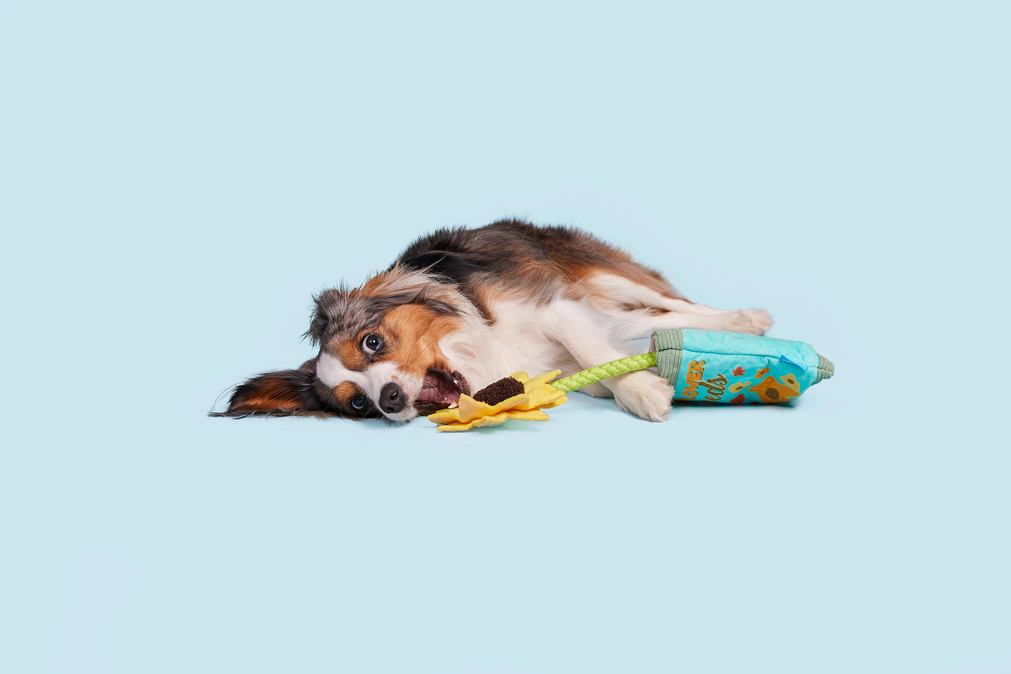 Funflower Seeds Rope Dog Toy