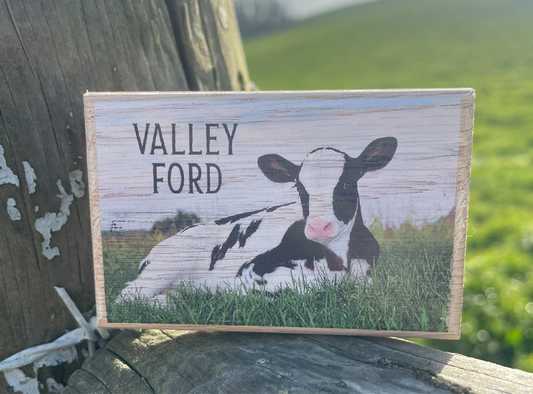 Valley Ford Dairy Calf Magnet