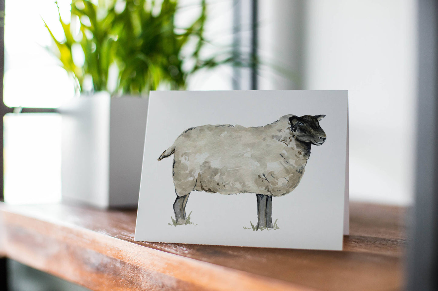 Sheep Greeting Card: 1 Card