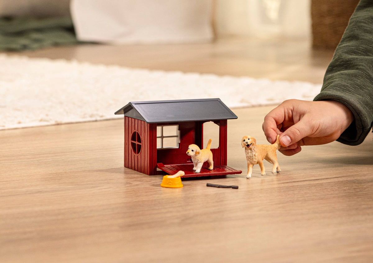 Dog Kennel