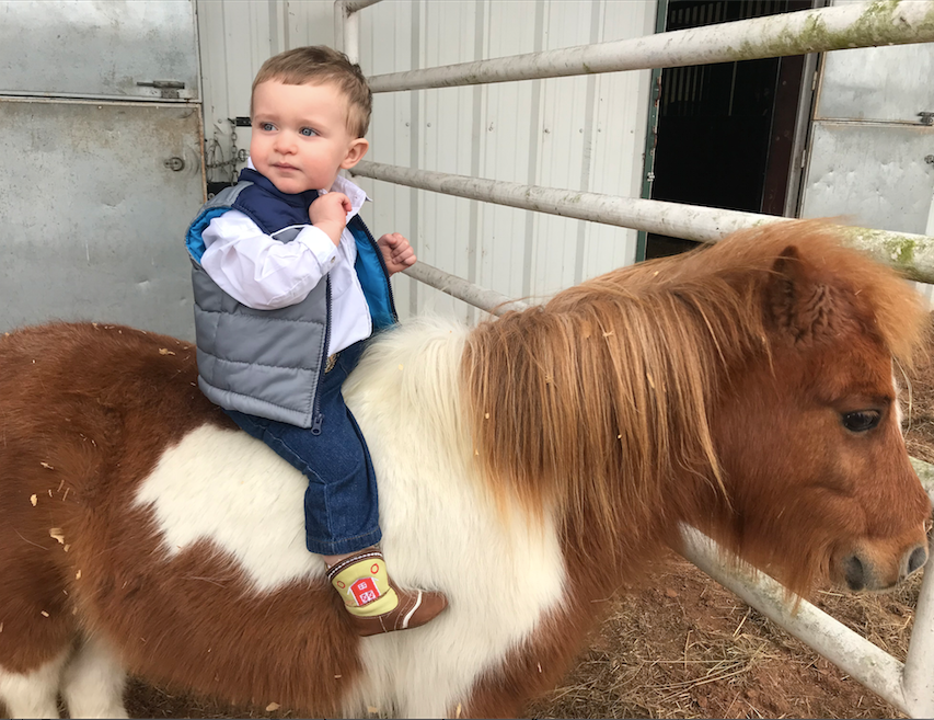 Shea Baby Boots: "Lawson" Farm 3 (12-18 month)